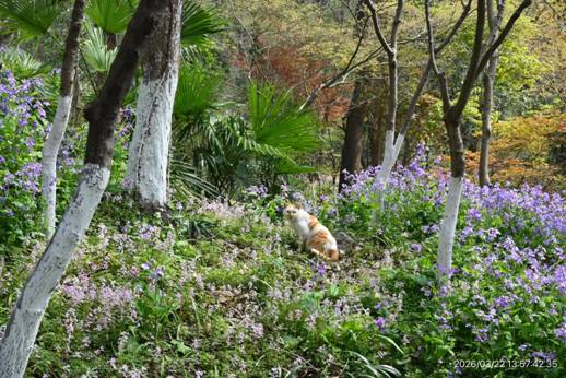 李蔚 动植物和谐共生